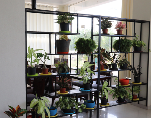 gallery